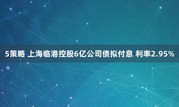 5策略 上海临港控股6亿公司债拟付息 利率2.95%