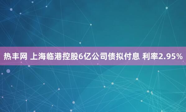 热丰网 上海临港控股6亿公司债拟付息 利率2.95%