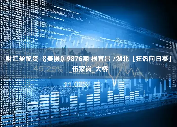 财汇盈配资 《美摄》9876期 根宜昌 /湖北【狂热向日葵】_伍家岗_大桥