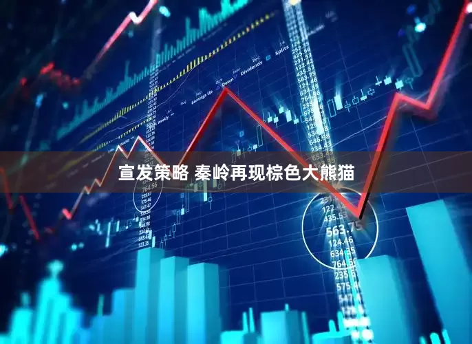 宣发策略 秦岭再现棕色大熊猫