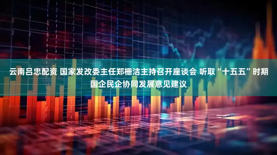 云南吕忠配资 国家发改委主任郑栅洁主持召开座谈会 听取“十五五”时期国企民企协同发展意见建议