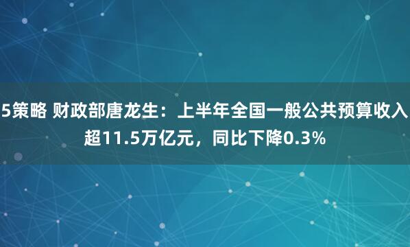5策略 财政部唐龙生：上半年全国一般公共预算收入超11.5万亿元，同比下降0.3%
